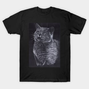 British Shorthair Cat T-Shirt